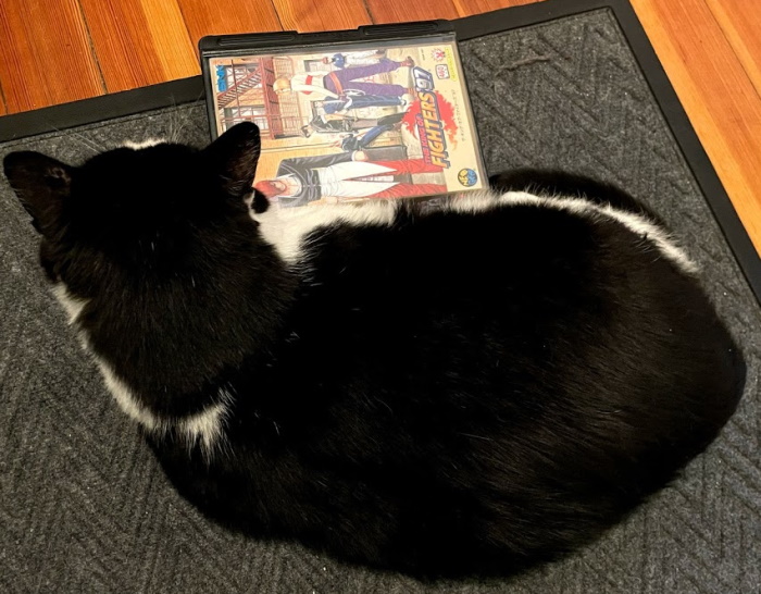 My cat, Dexter, sleeping next to a copy of King of Fighters '97