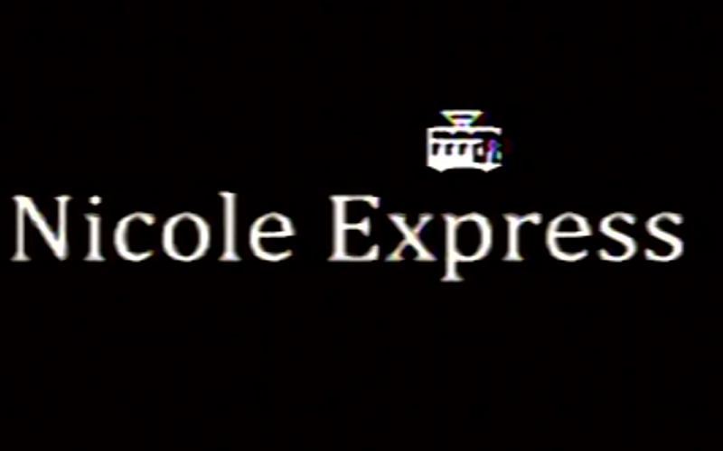 Nicole Express logo