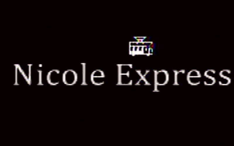 Nicole Express logo