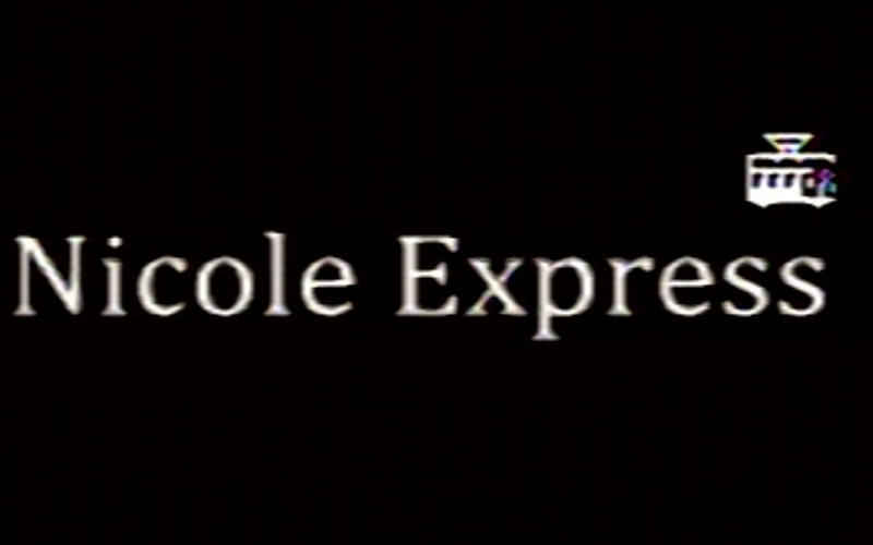 Nicole Express logo