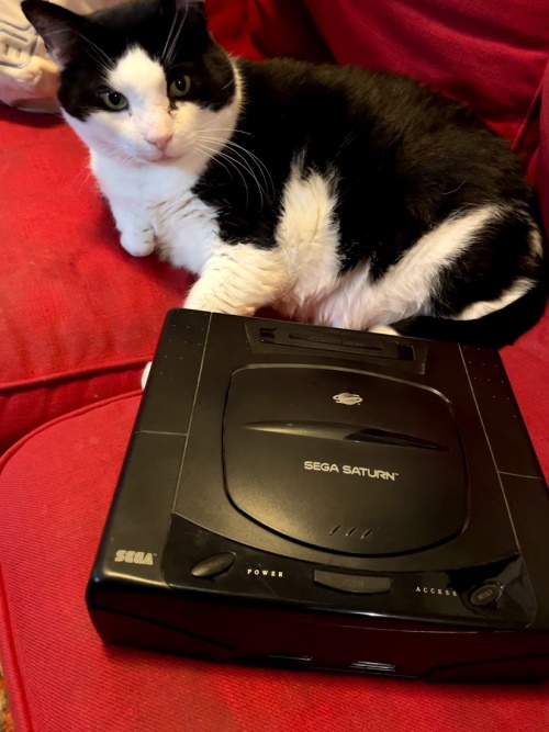 The Sega Saturn, and my cat